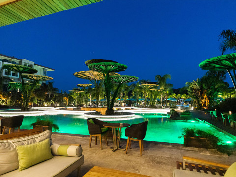 REGNUM CARYA