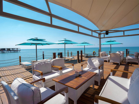 REGNUM CARYA