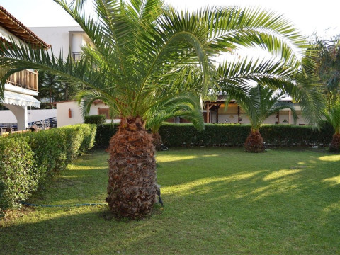 Aria Seaside Retreat Hotel Halkidiki