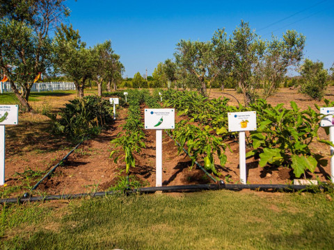 Relais Masseria Le Cesine