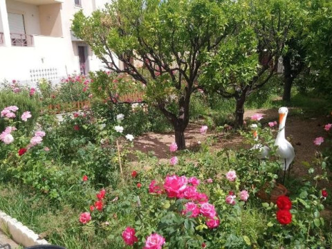 Résidence 1000 Roses