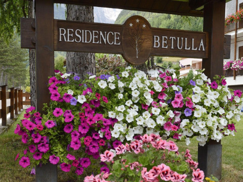 Residence Betulla