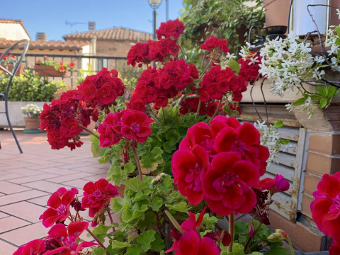 Residence Manassei