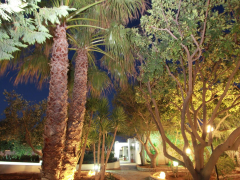 Resort Costa House