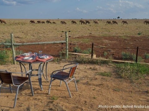 Jacaranda Beach Resort and Safari Tsavo Explorer RO
