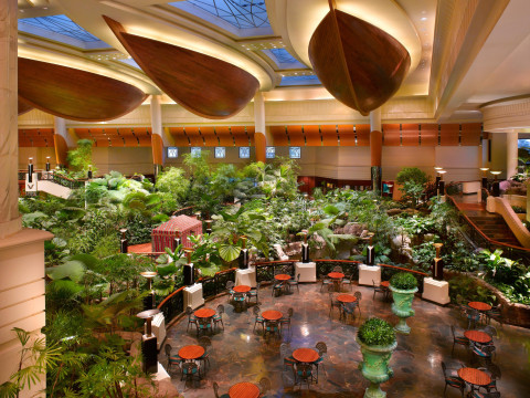 Grand Hyatt Dubai Resort and Waterpark