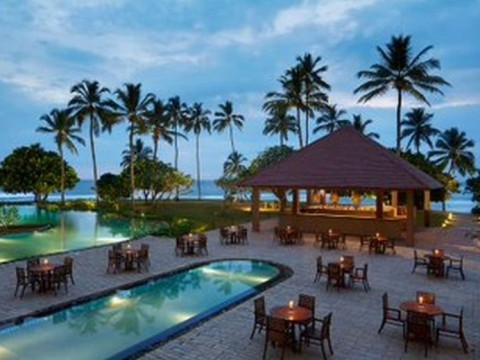 Hikka Tranz by Cinnamon