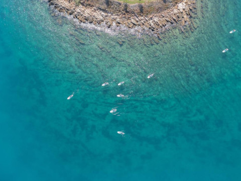RIXOS PREMIUM BODRUM