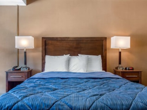 RODEWAY INN CHICAGO