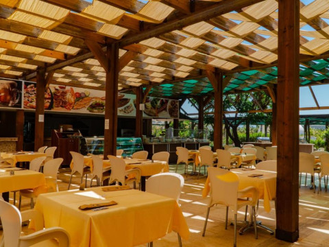 Royal Atlantis SPA & Resort