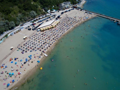 ROYAL COVE