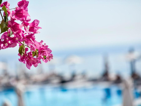 Royal Myconian Resort