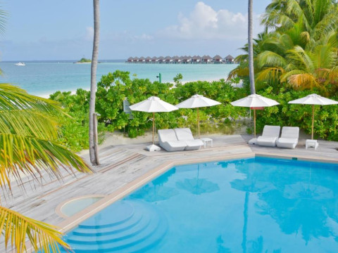 Safari Island Resort