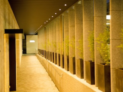 SAKURA TERRACE