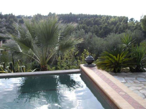 Sanorama Suites