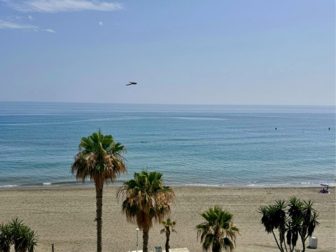 SANTA ROSA TORROX