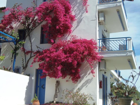 Sartivista