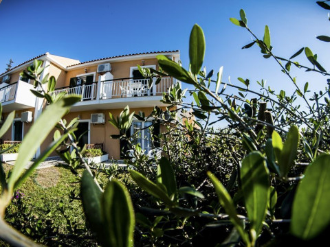 Sea View Studios
