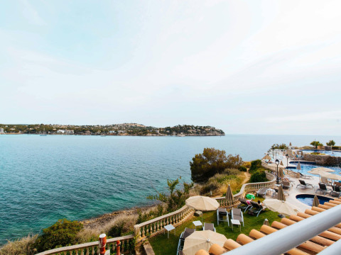 Sentido Fido Punta del Mar