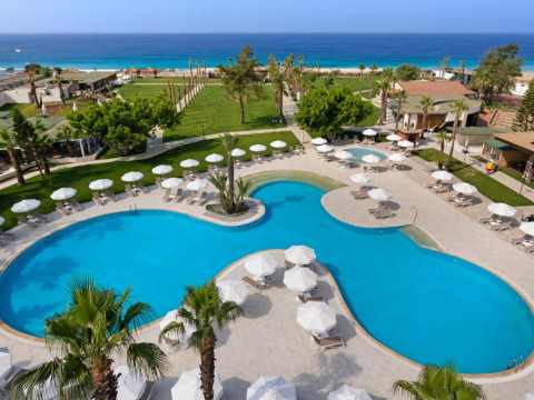 Trendy Verbena Beach