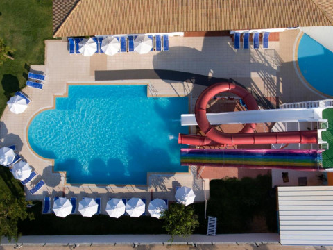 Trendy Verbena Beach
