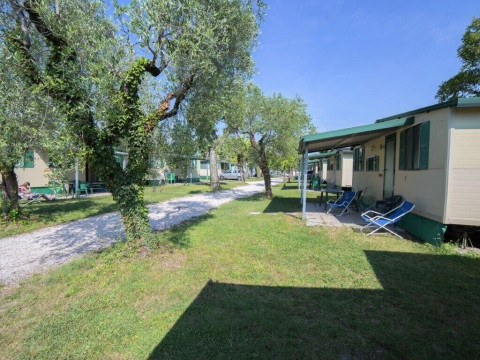 Sereno Camping Holiday