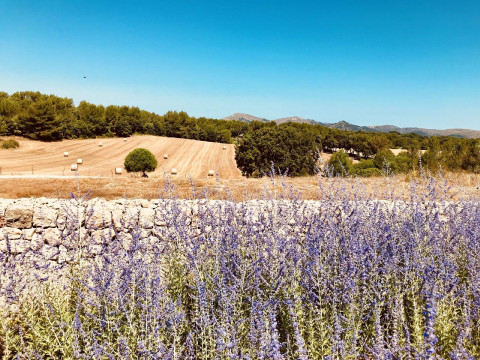 S'estelrica Finca Hotel