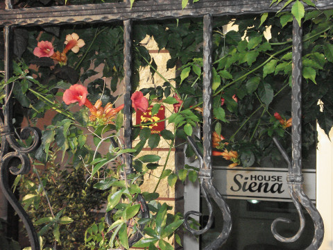 SIENA HOUSE