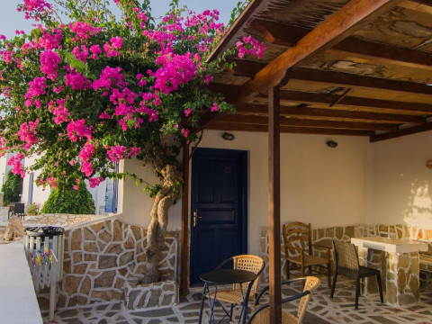 Skala