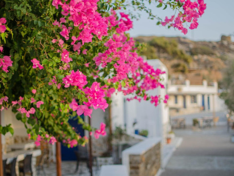 Skala