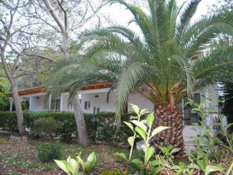 Soller Garden