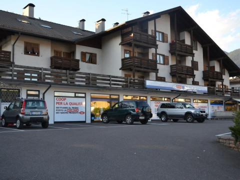 Spacious Apartment Close To Cavalese