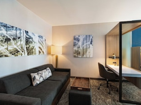 SPRINGHILL SUITES BY MARRIOTT DALLAS RICHARDSON/UNIVERSITY AREA