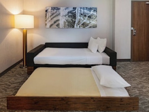 SPRINGHILL SUITES BY MARRIOTT DALLAS RICHARDSON/UNIVERSITY AREA