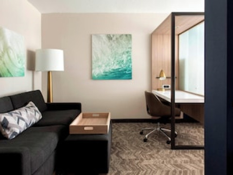 SPRINGHILL SUITES BY MARRIOTT TAMPA SUNCOAST PARKWAY