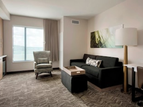 SPRINGHILL SUITES BY MARRIOTT TAMPA SUNCOAST PARKWAY