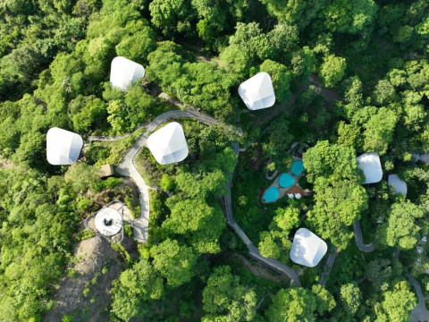 Suitree Experience Hotel