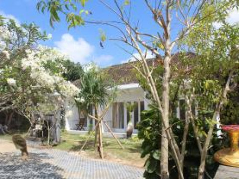 Summer Homestay Bali