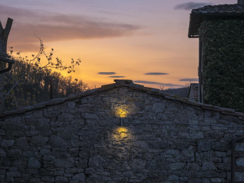 Tenuta Cortedomina