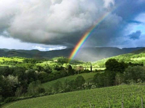 Tenuta Cortedomina