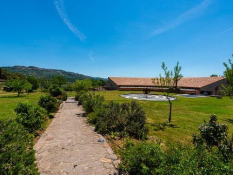 Tenuta Il Cicalino