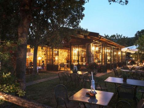Tenuta Il Cicalino