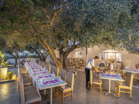 Le Hammamet