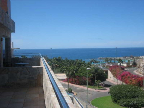 Terraza Amadores