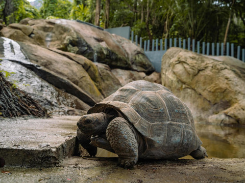 Hilton Seychelles Labriz Resort & Spa