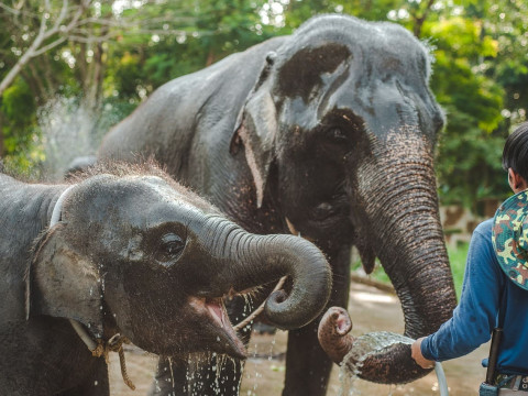 Thailanda – Cambodgia – Vietnam by bike