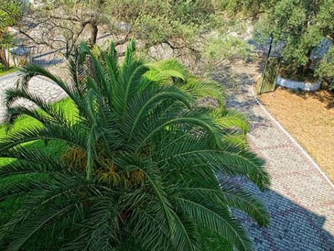 Thalero Holidays Center