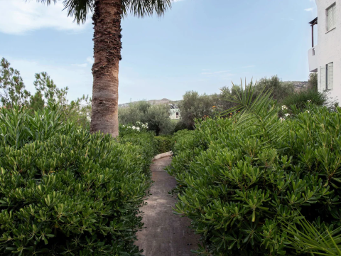 THALIA BLOOM VILLA APARTMENTS