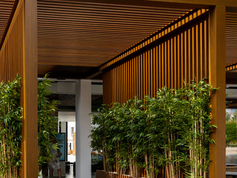 THB Bamboo Alcudia