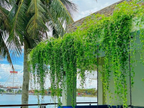 THE BLOSSOM RESORT ISLAND - All Inclusive